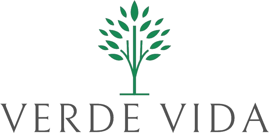 561087801_17846052279580867_4260744706615603165_n